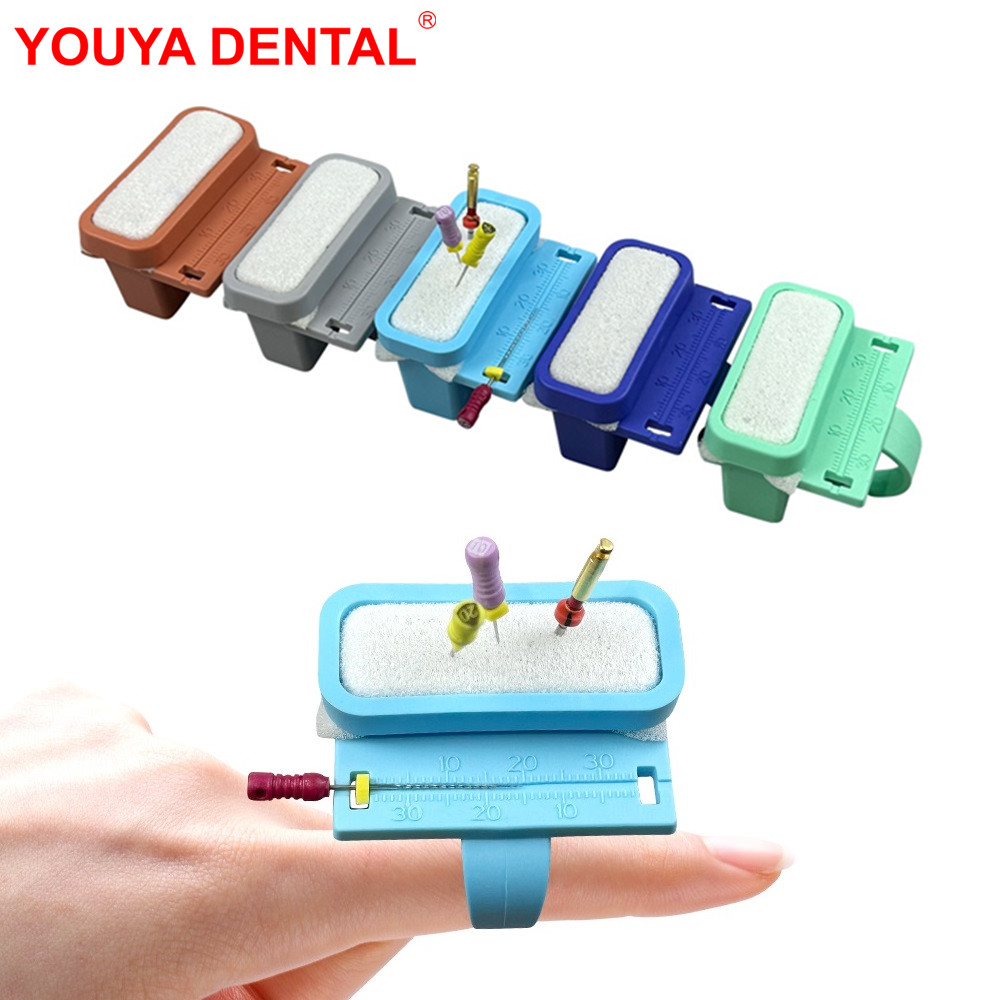 Eco Sponge - Suporte de arquivos endo dentários, régua
